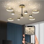 DB011 DUTTI LED Brass Chandelier Modern Designer Star remote control for living room bedroom club shop minimalist 5 7 light